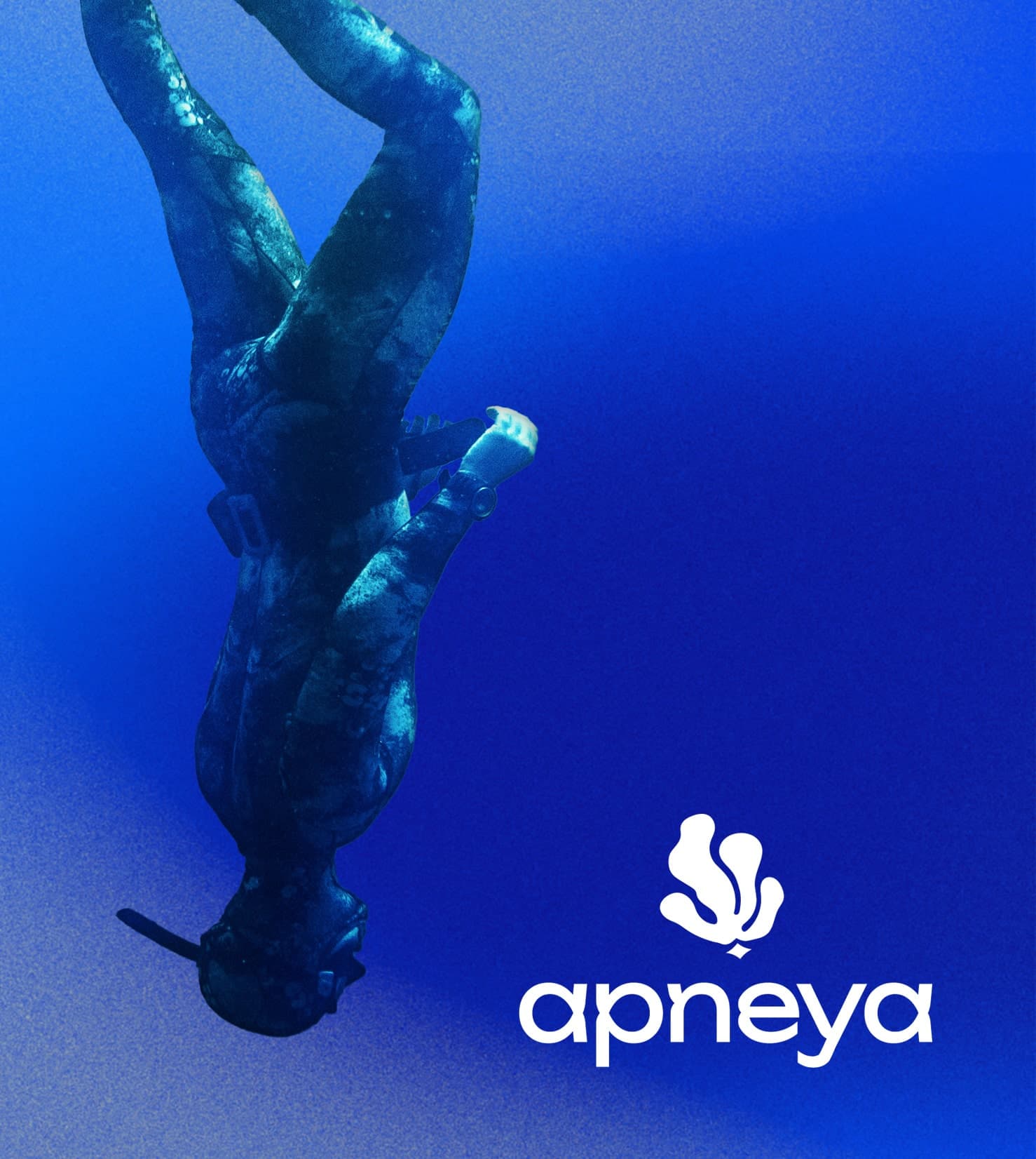 Apneya